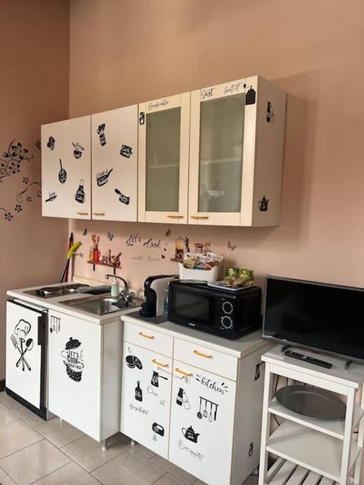 Minimal Studio Con Travi A Vista Piacenza Eksteriør bilde